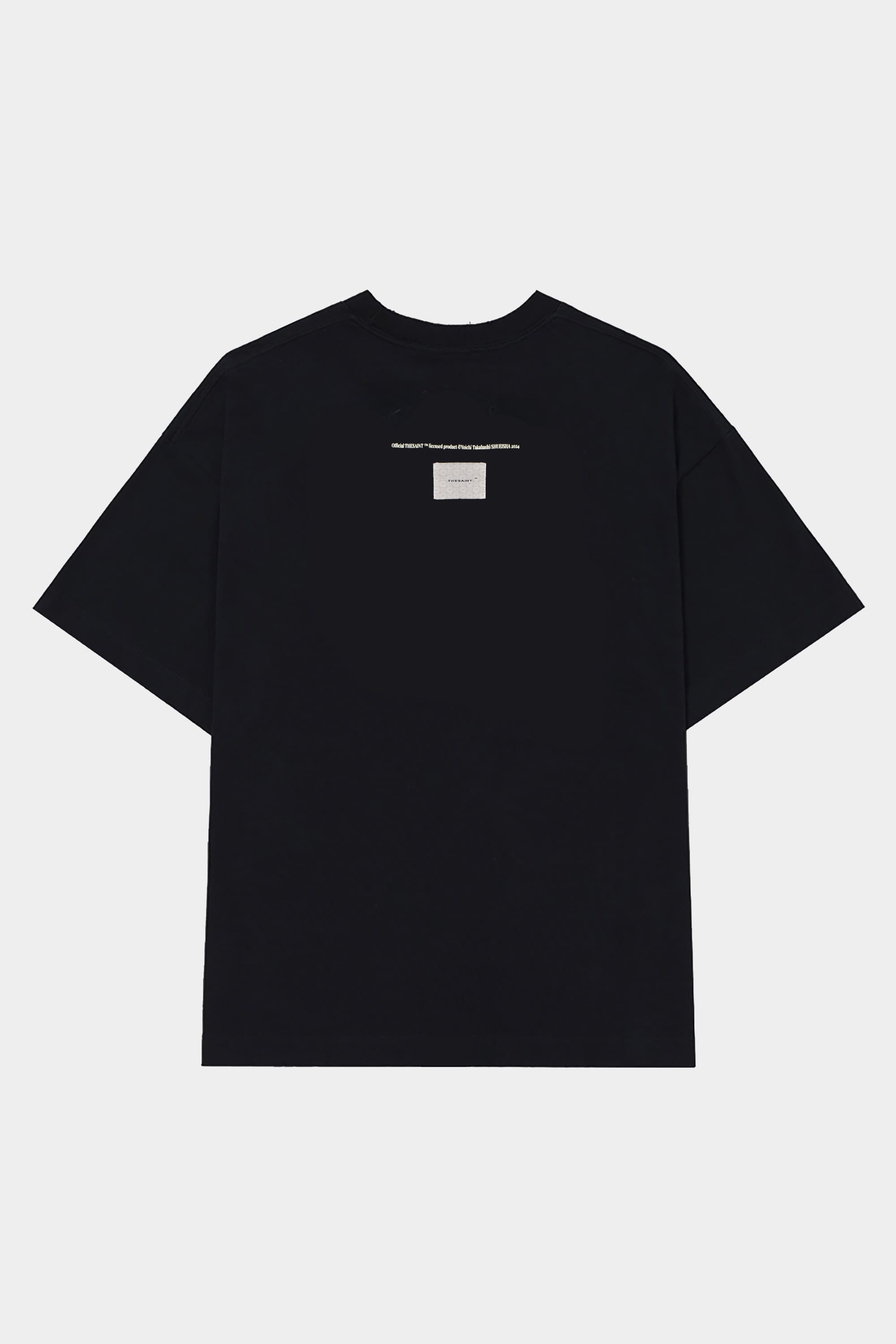 tsaint-54a-2012210019.jpg?